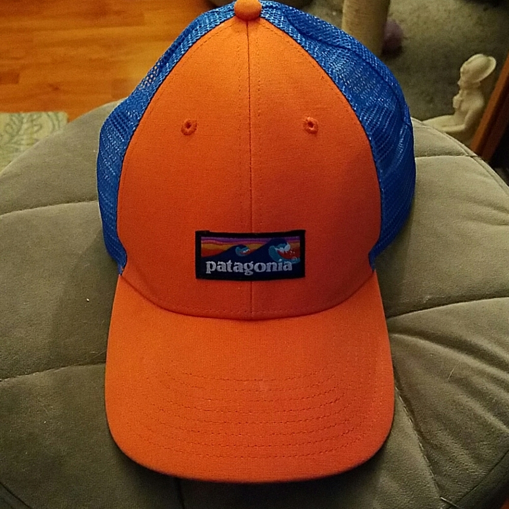 Patagonia Trucker Hat